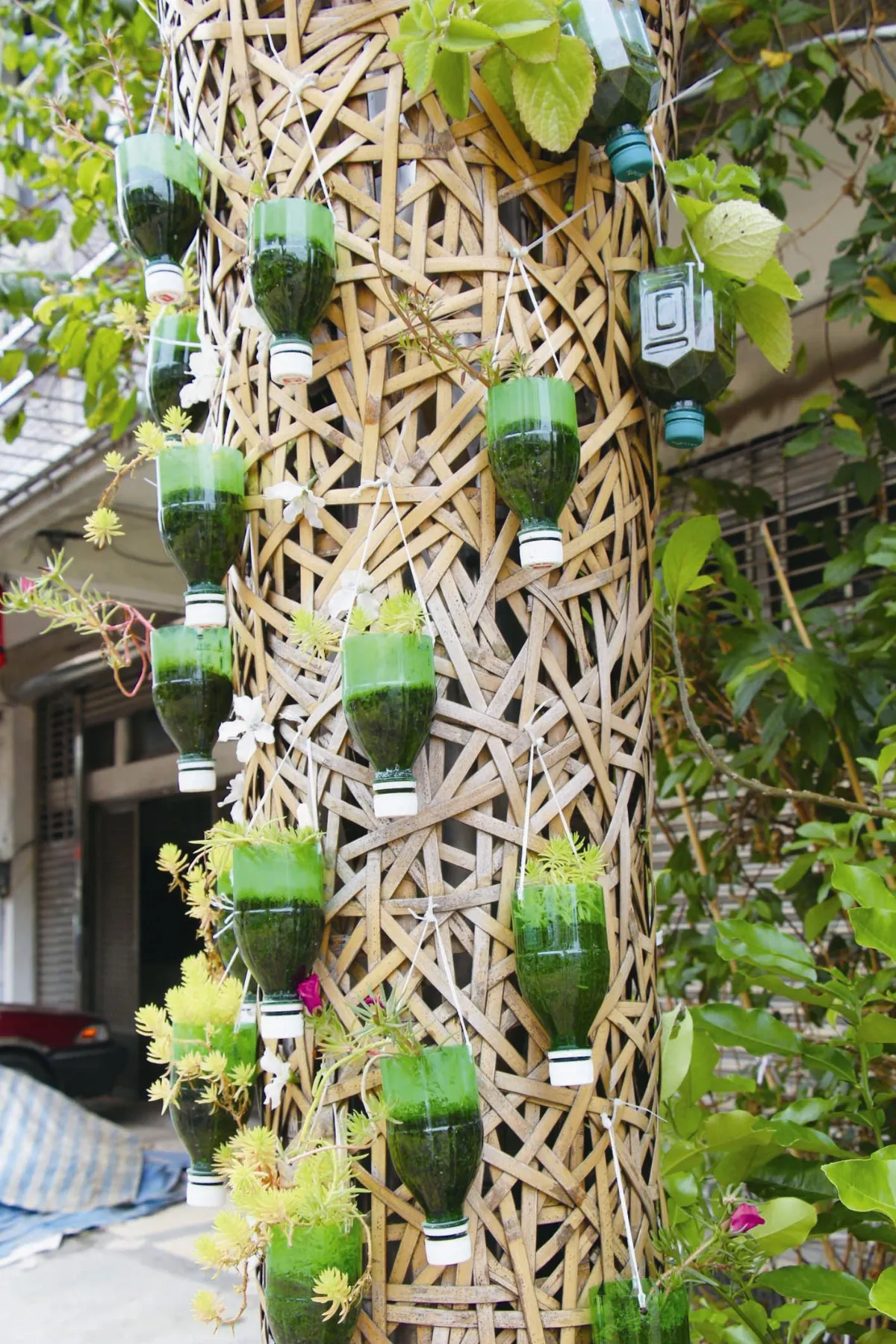 生活快門  路燈花飾