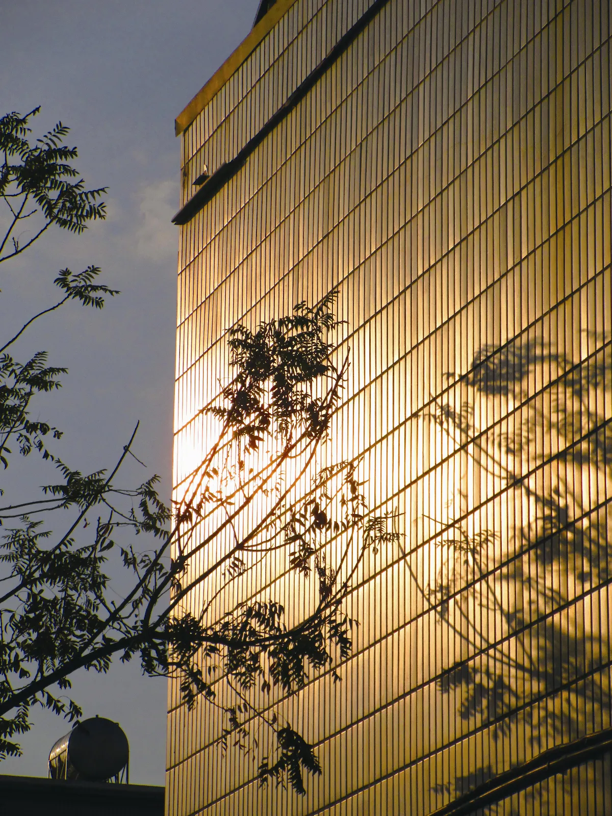 生活快門 感恩時光