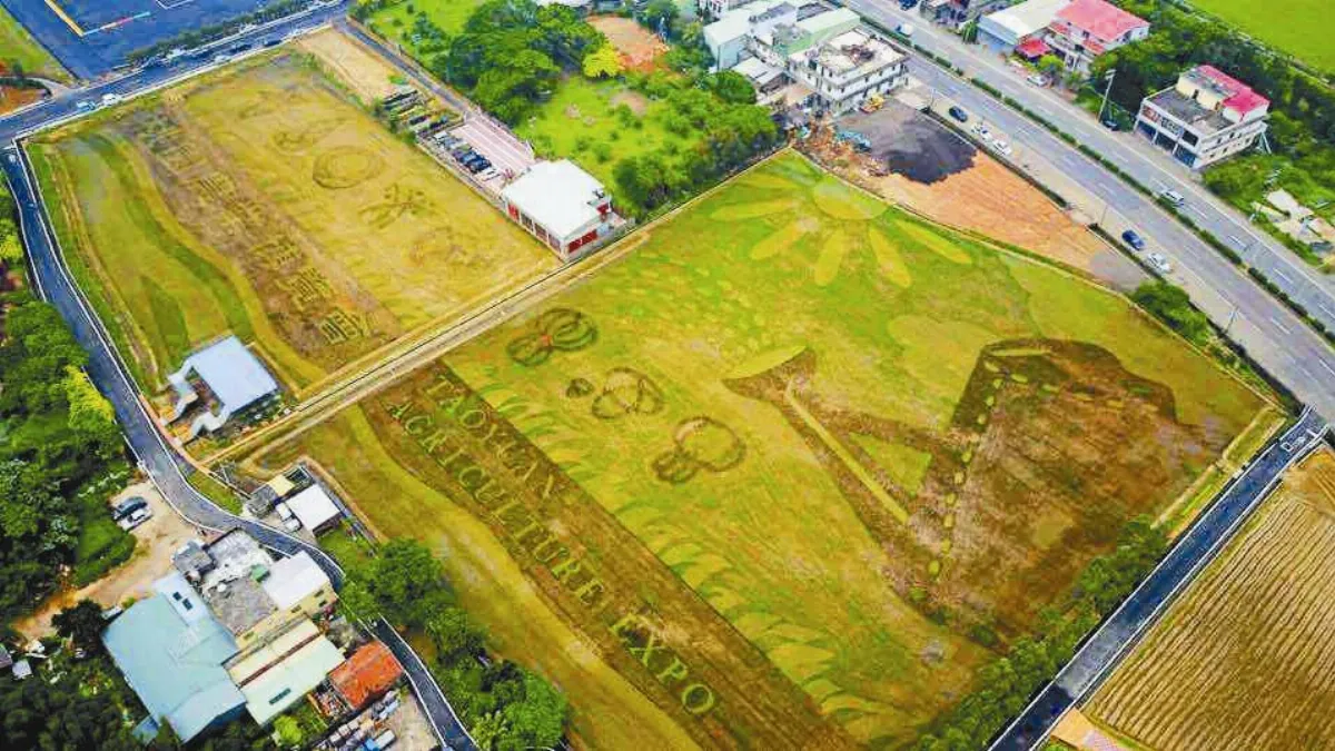 農博登場 秀米食大電鍋