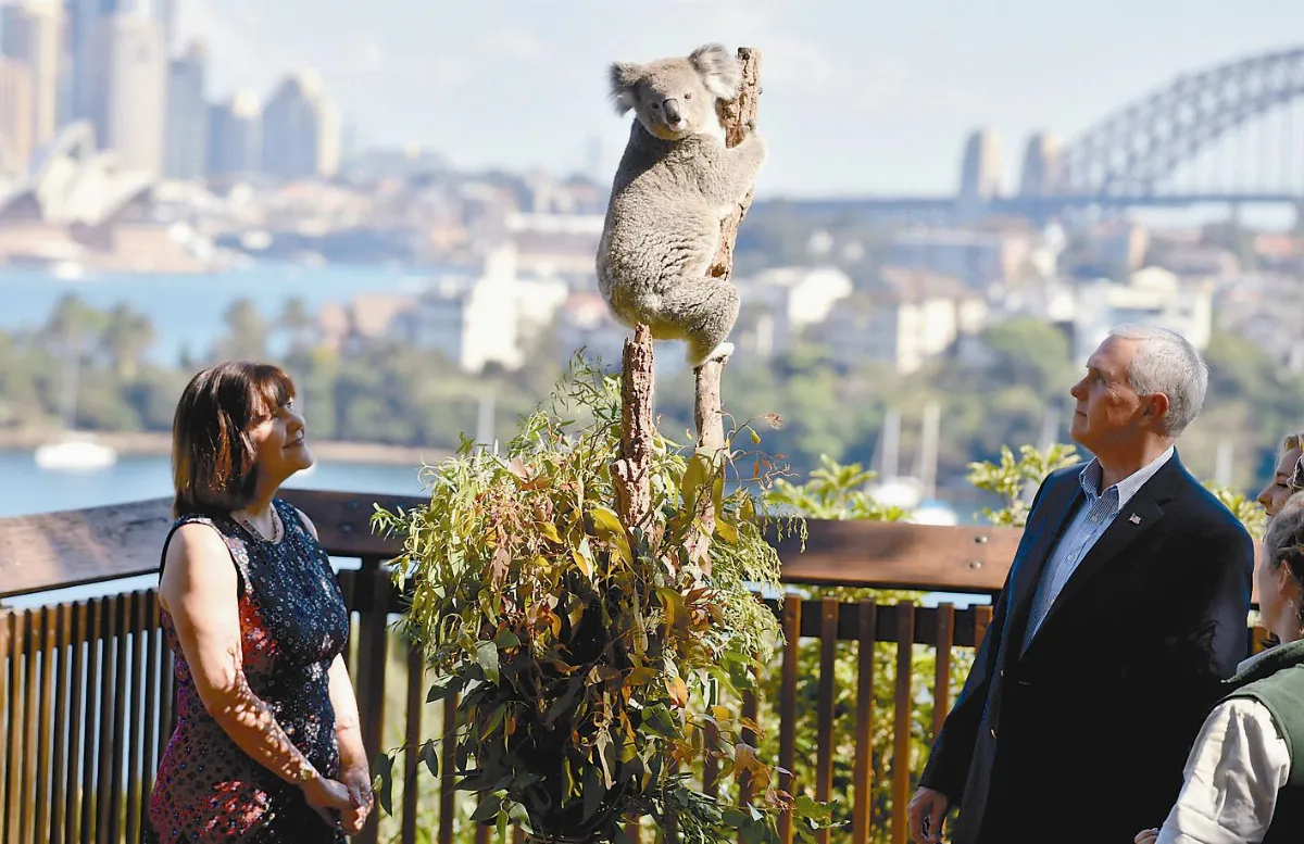 潘斯：我周日都是這姿勢