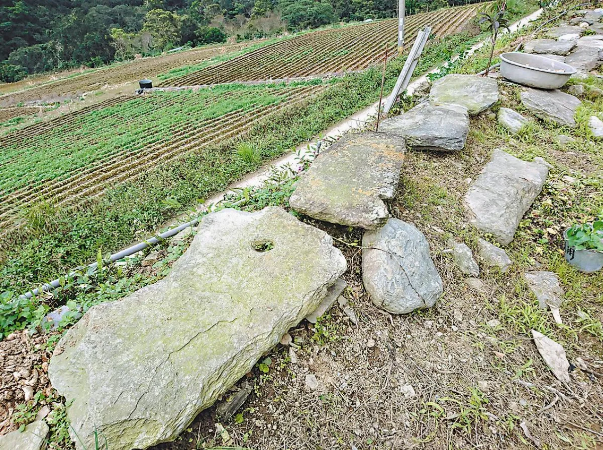 台東山區 發現史前遺址