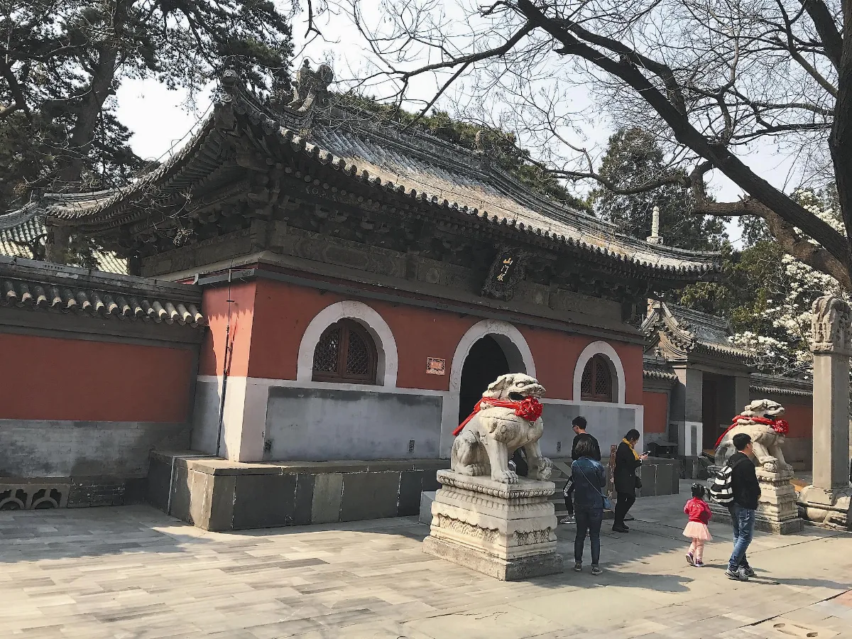 遨遊藝事 北京戒台寺的松濤