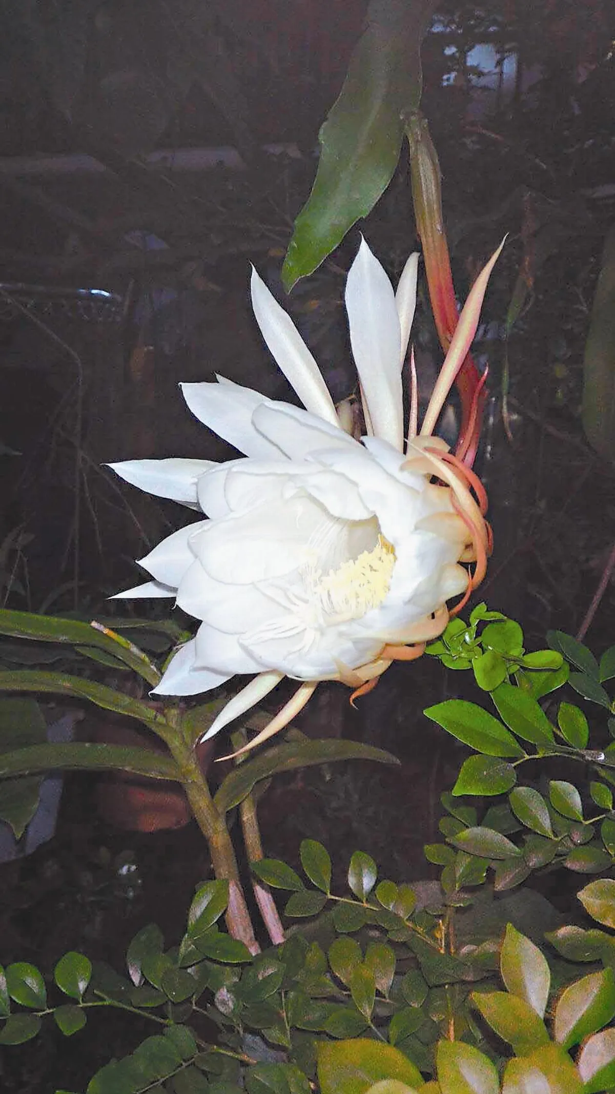 【生命畫語】 剎那即是永恆