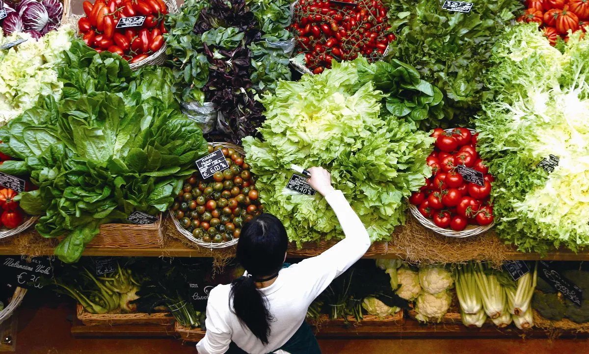 均衡飲食 +適合的體能活動 = 保骨本