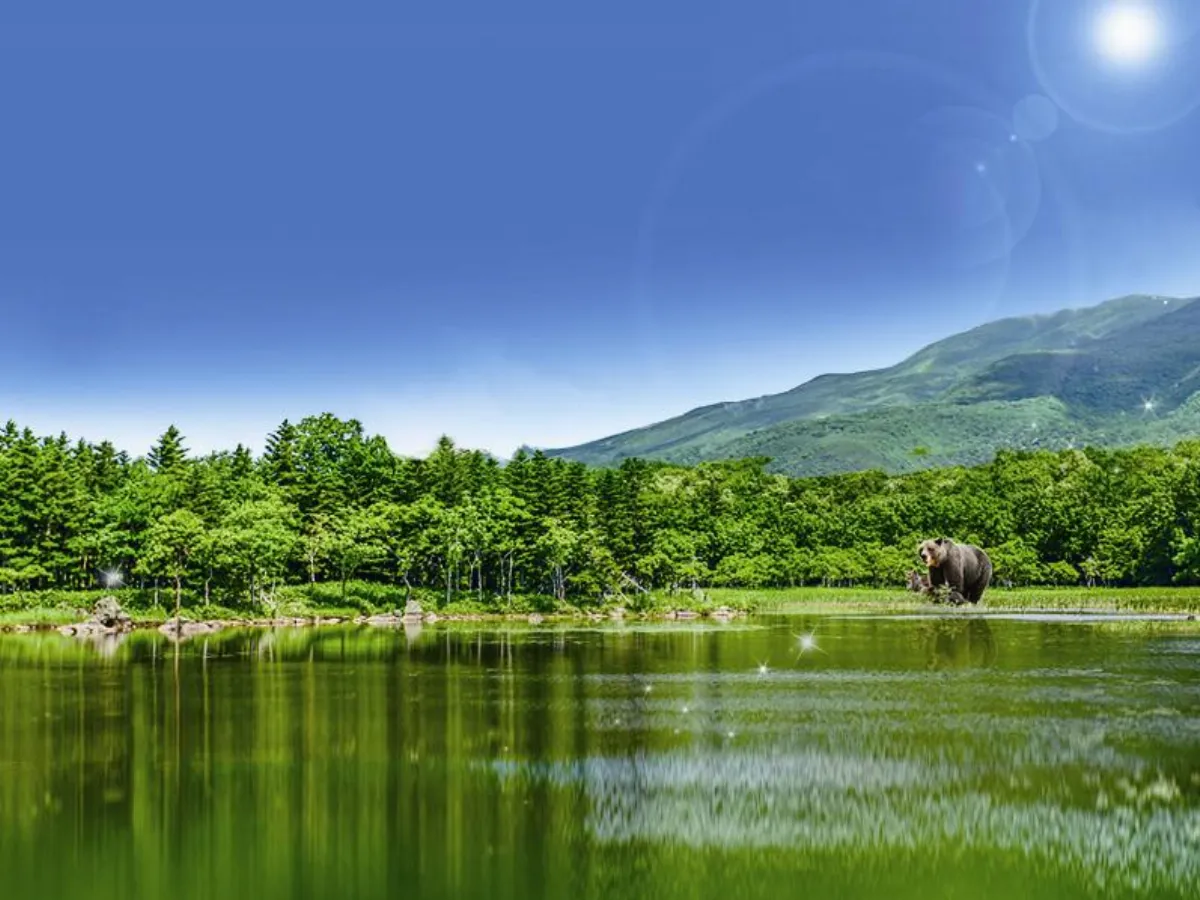 旅遊大小事 北高旅展 今夏旅遊促銷