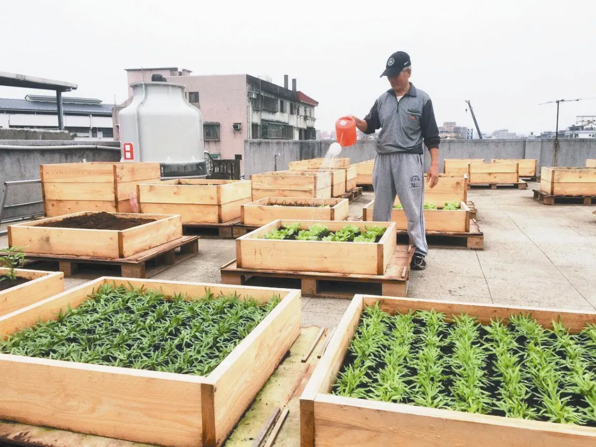 圖書館攜手社大 頂樓種果菜