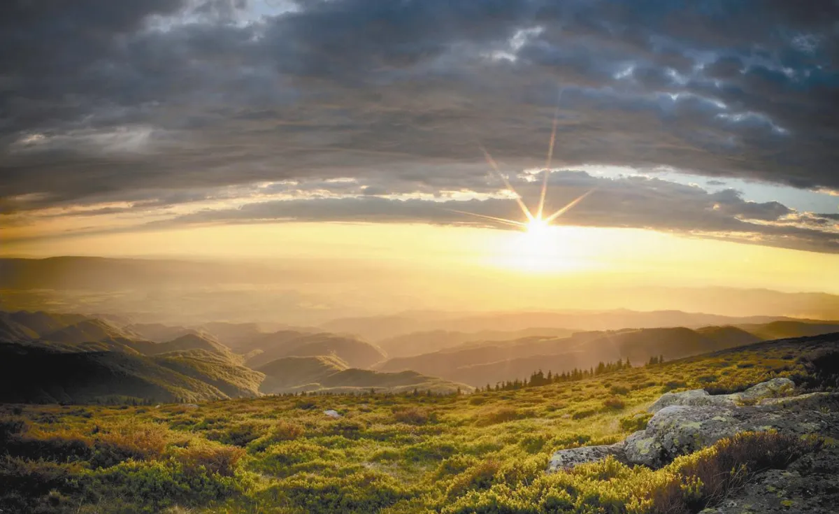 Morning Has Broken