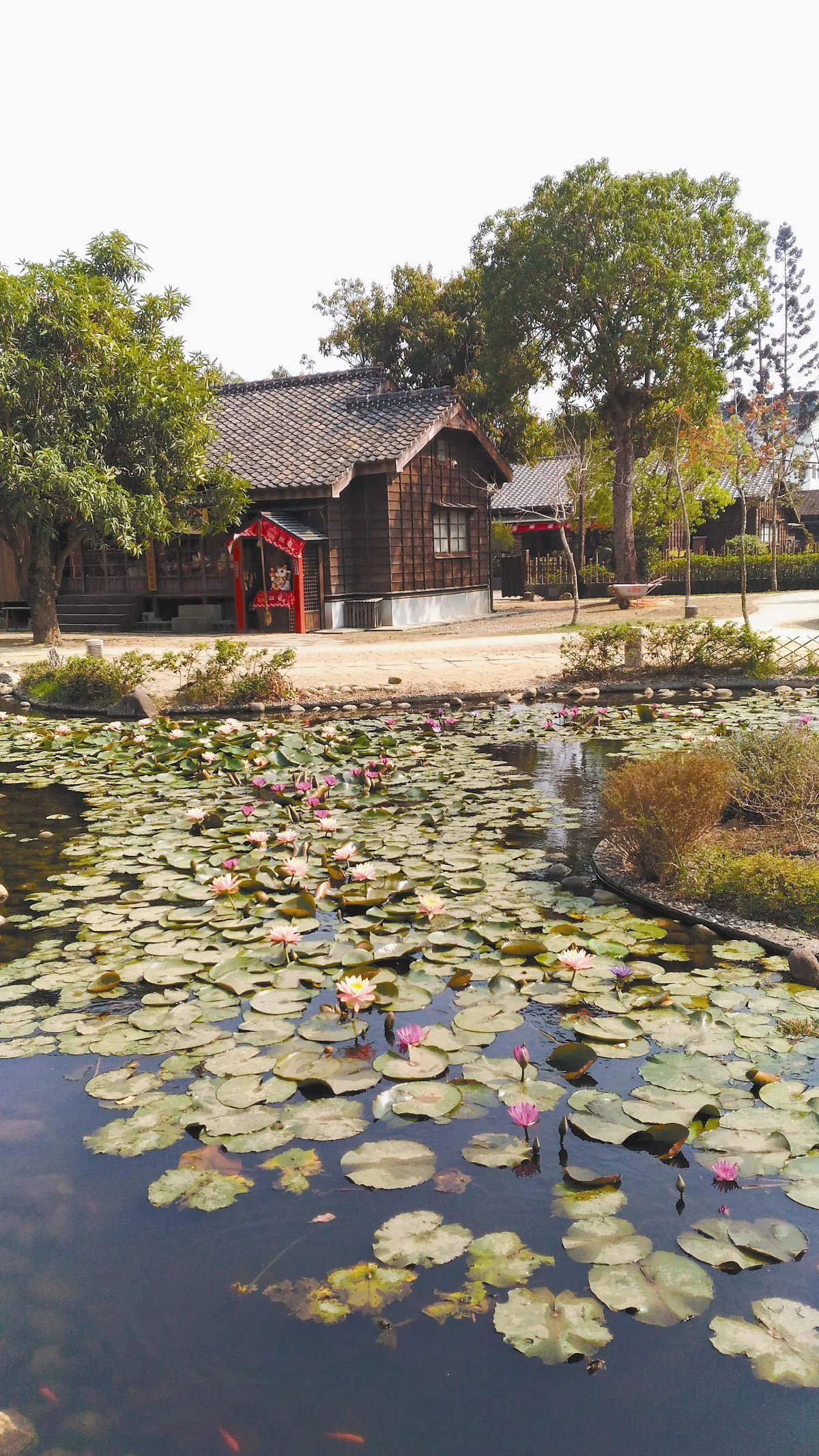 遊 「檜意森活村」 很快意