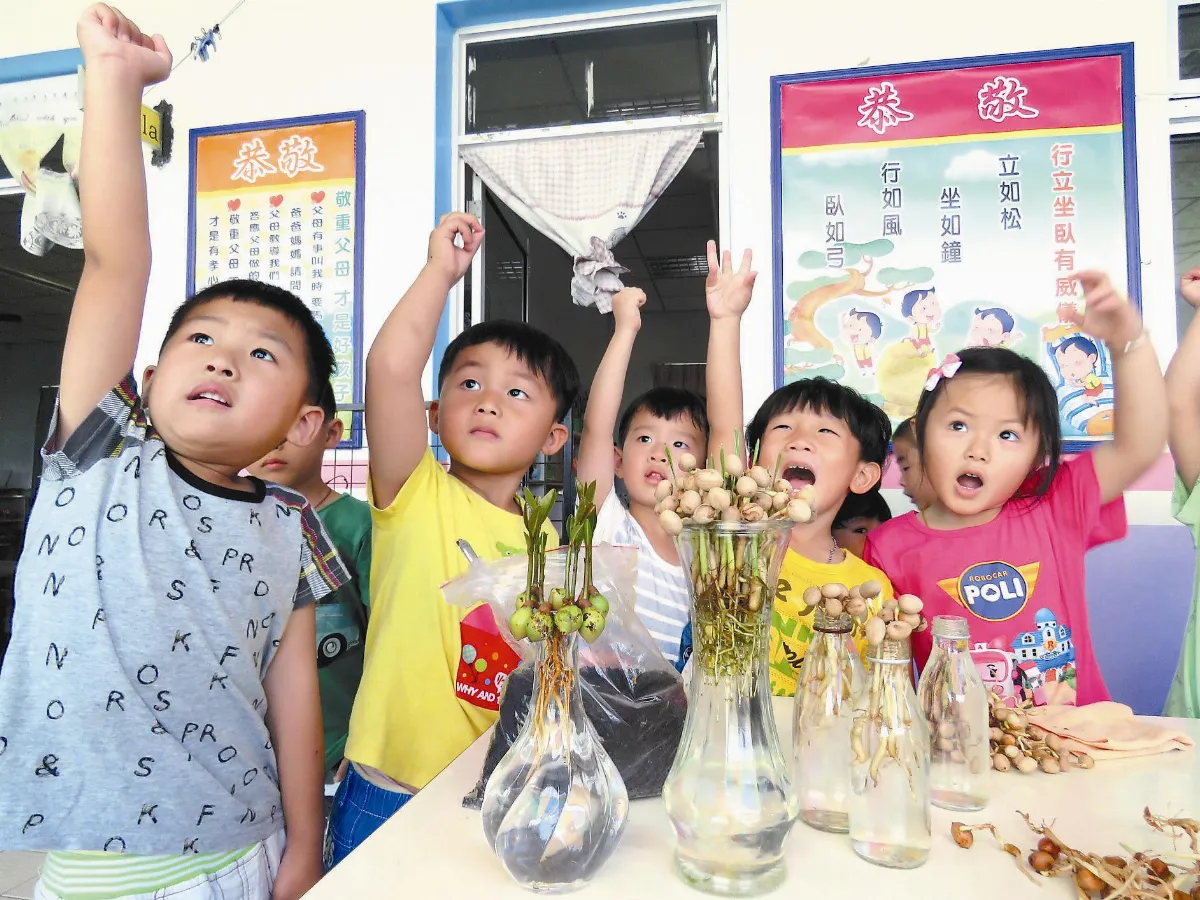 盆栽躍出音符 幼童學習愛物