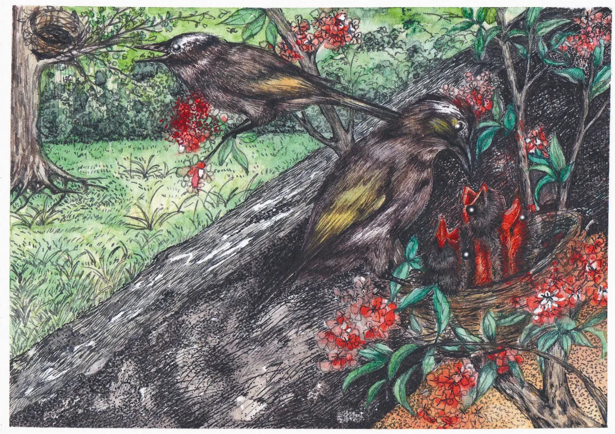 小土豆日記  感慨的事