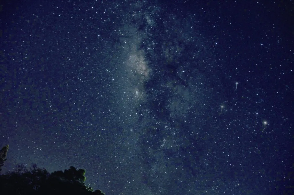 墾丁 好好玩 一探究竟 社頂自然公園4