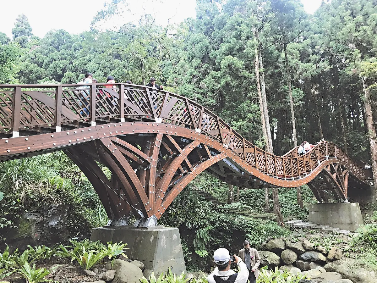 溪頭銀杏橋 呼吸負離子