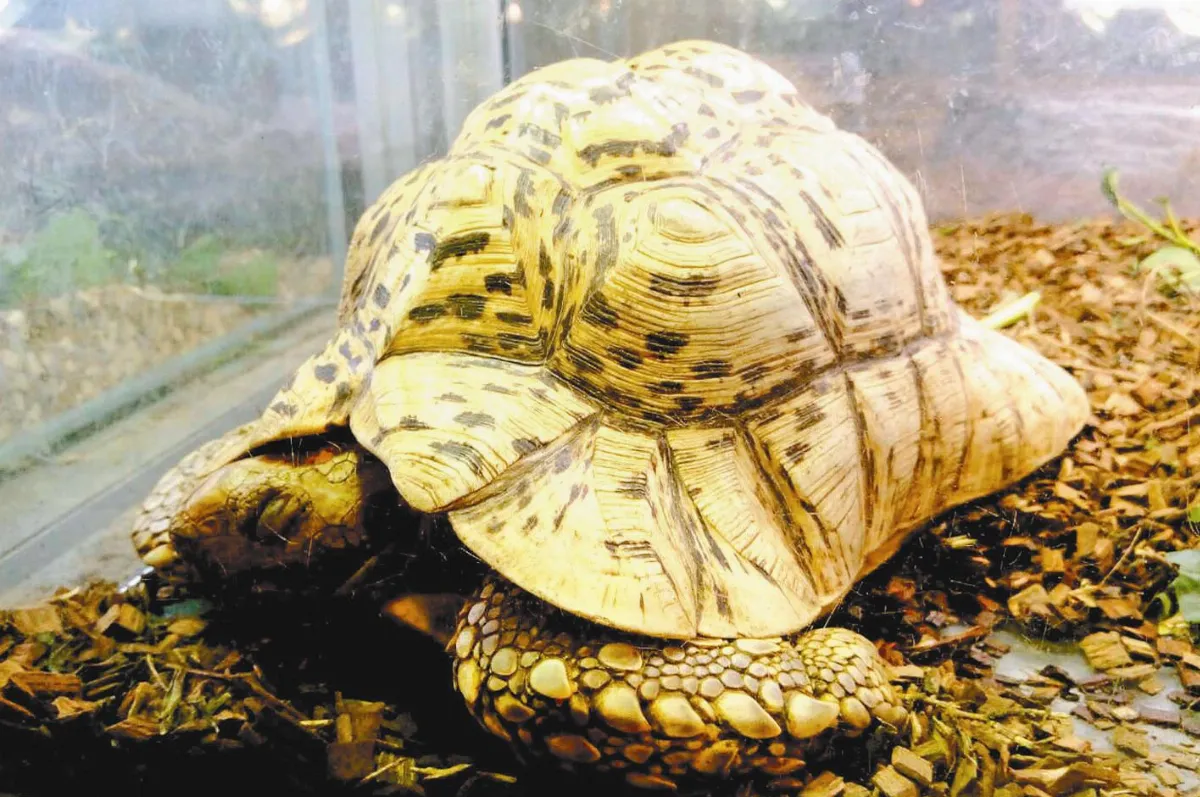 龜息大法練功中 誤會可大了