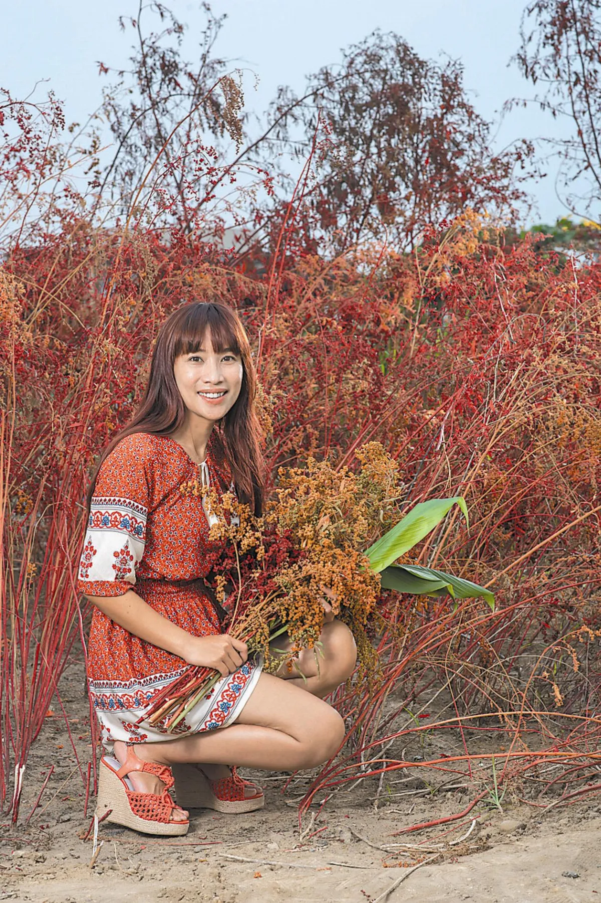 紅藜爆紅 高營養翻轉部落