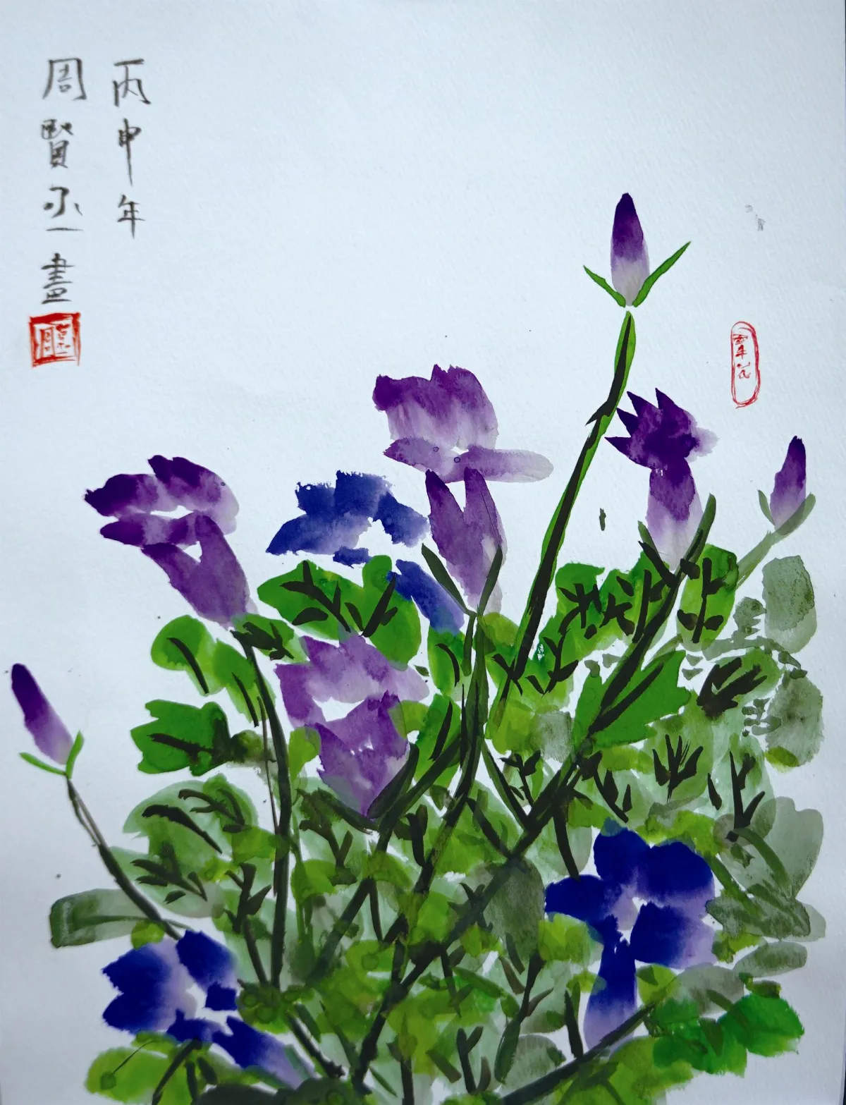 快樂塗鴉簿 牽牛花