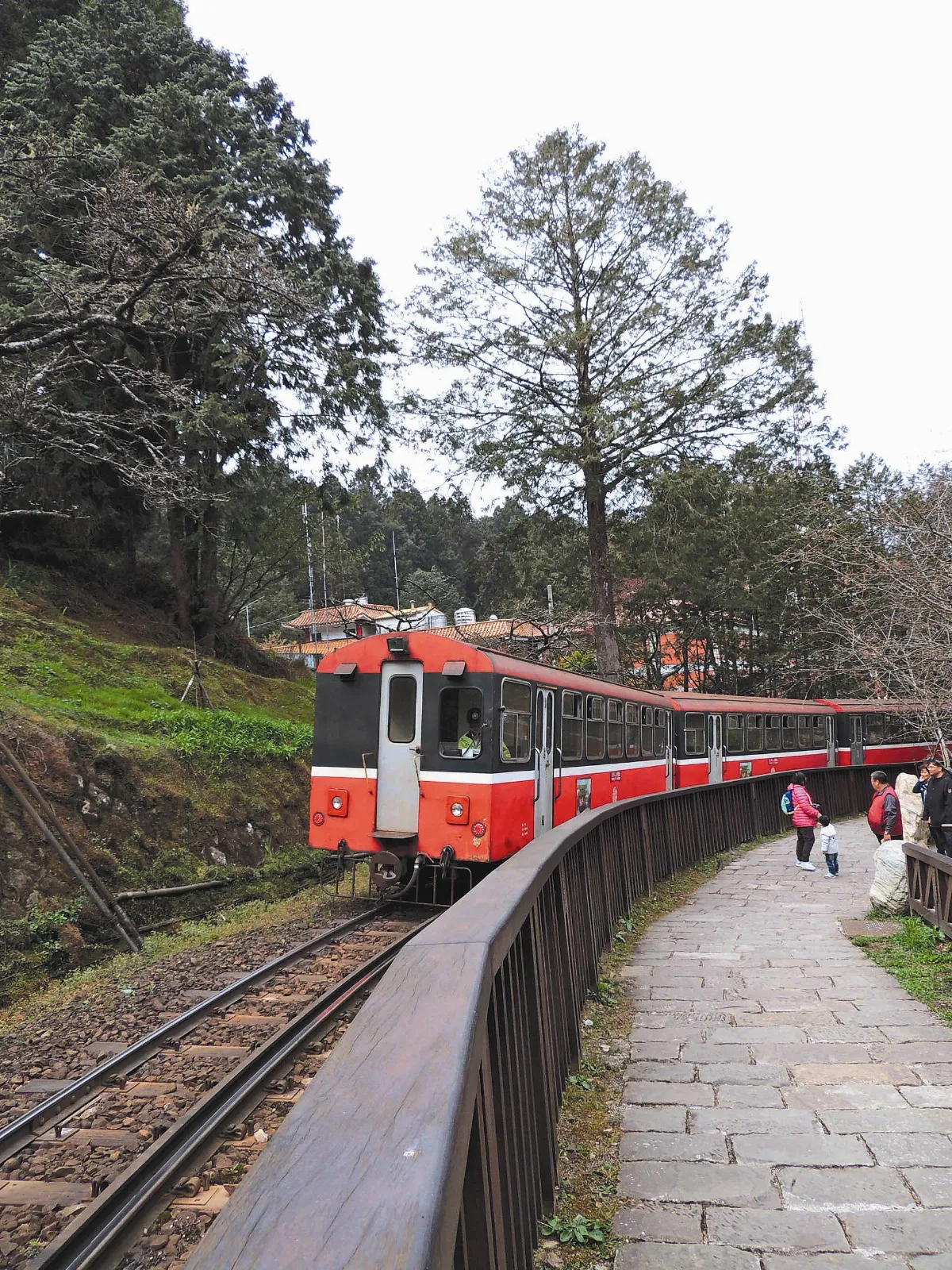 霧上阿里山 （下）