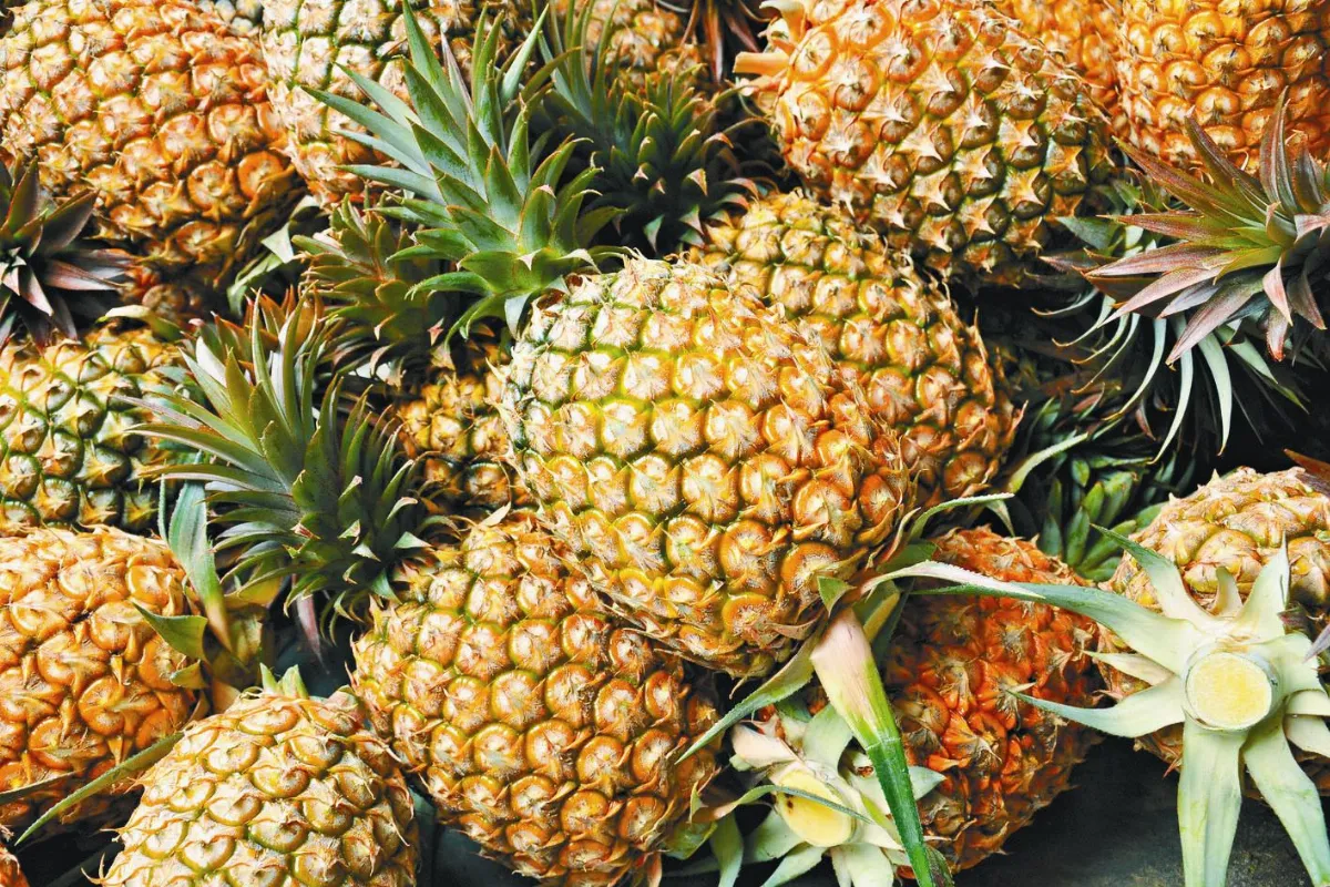 老愛比水果甜度 台中要改