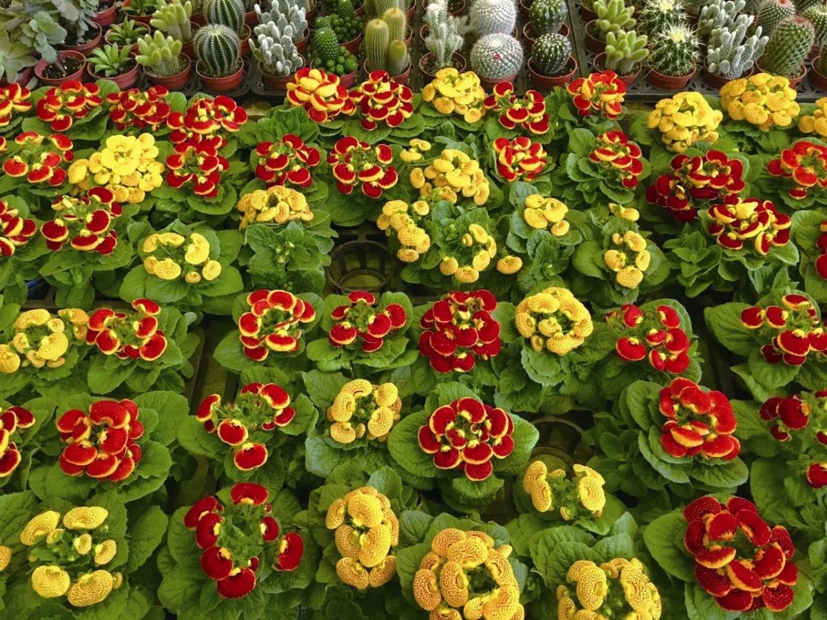 印象旅人 大安森林公園幸褔遊