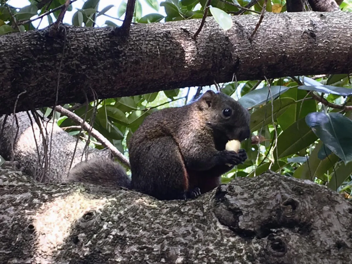 印象旅人 大安森林公園幸褔遊