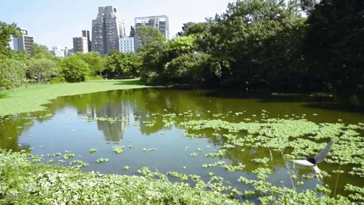印象旅人 大安森林公園幸褔遊