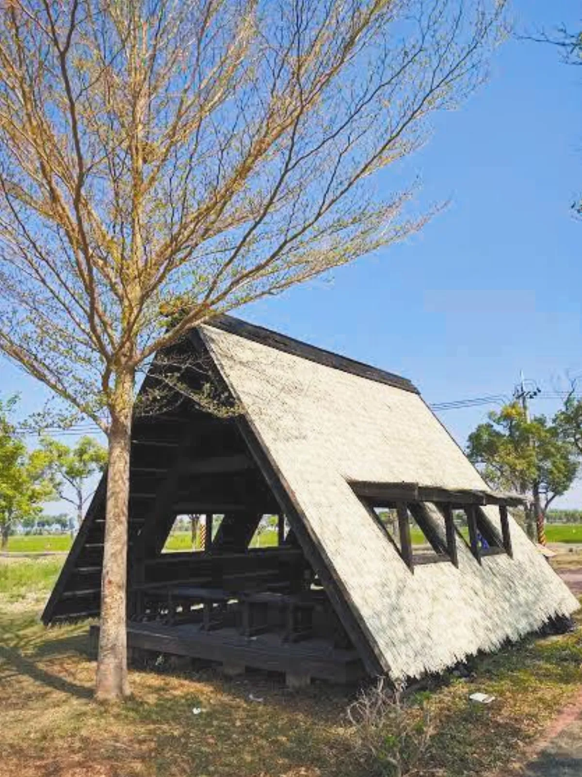 生活快門 田野休憩加油站
