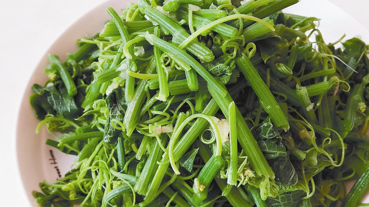 禪食料理 霸氣的龍鬚菜