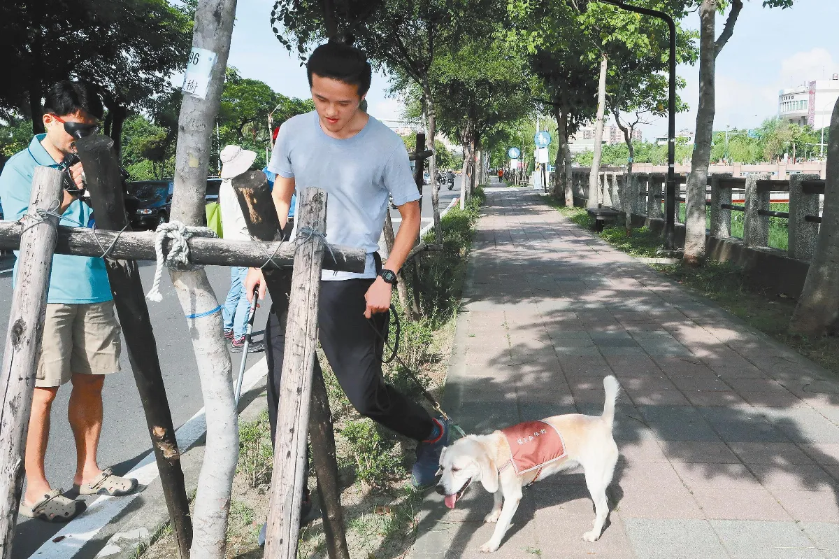 偵測褐根病 狗狗樹醫 本周巡查3千棵