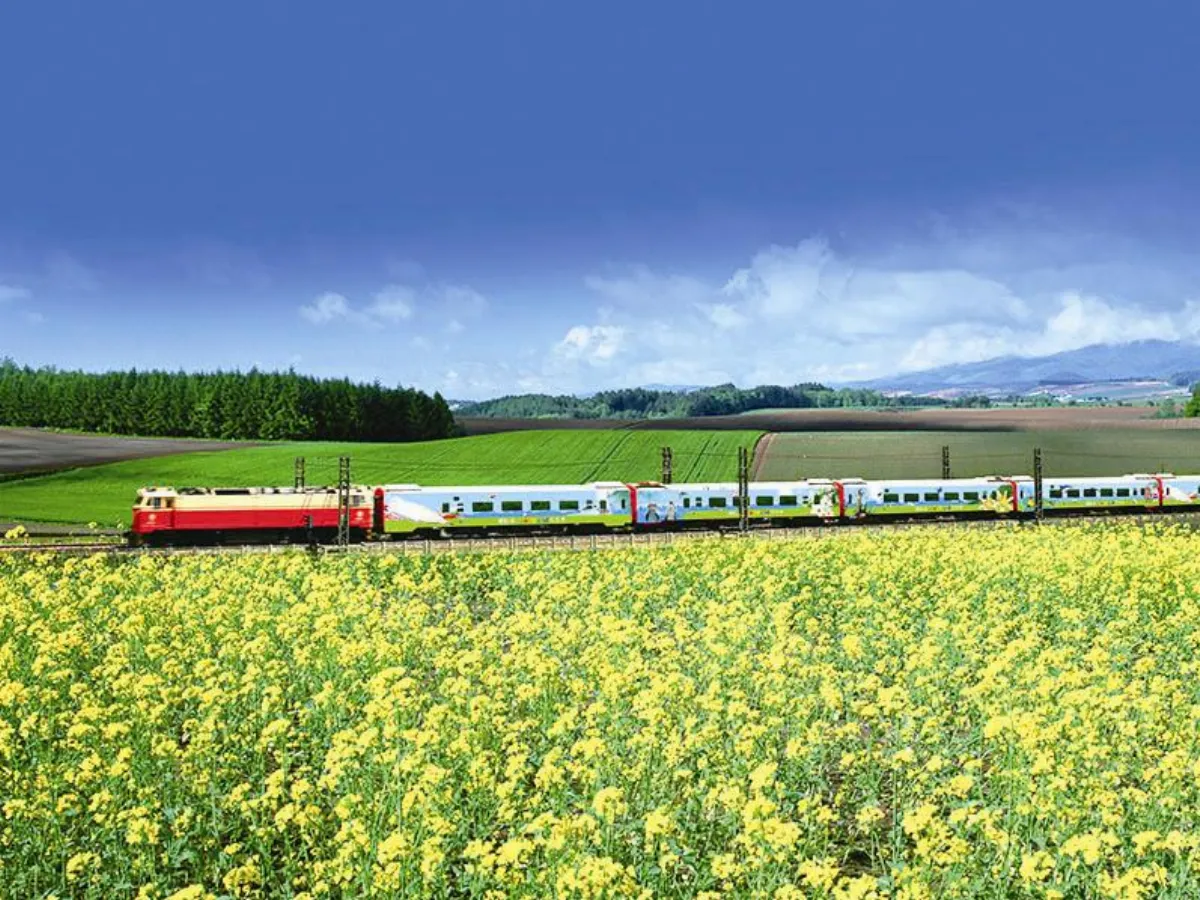 旅遊大小事 全家遊善用環島之星