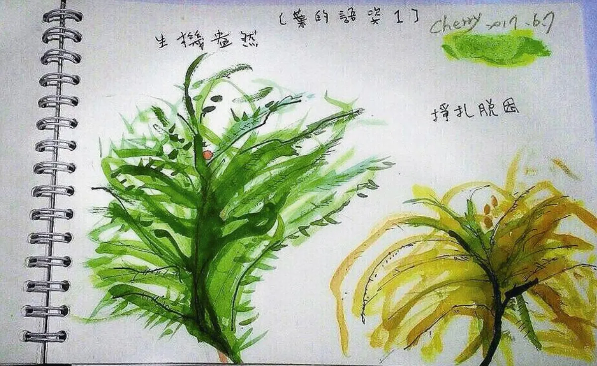 樵言悄語  繪畫引得內在的精靈，躍 出
