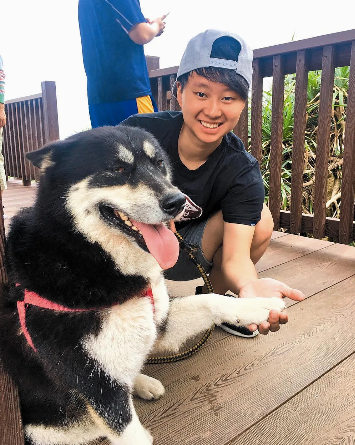 新北票選十大校犬 莉莉等回家 溫暖住校師