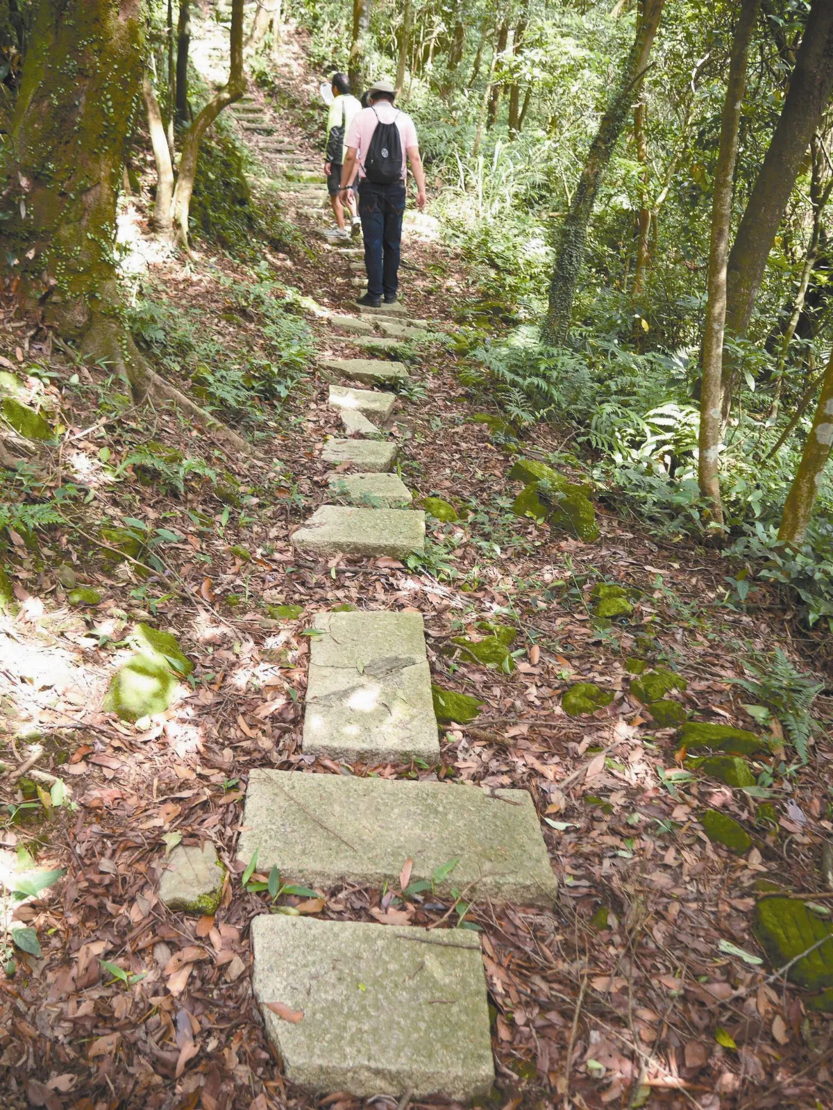 6個傻瓜 扛500石版鋪路