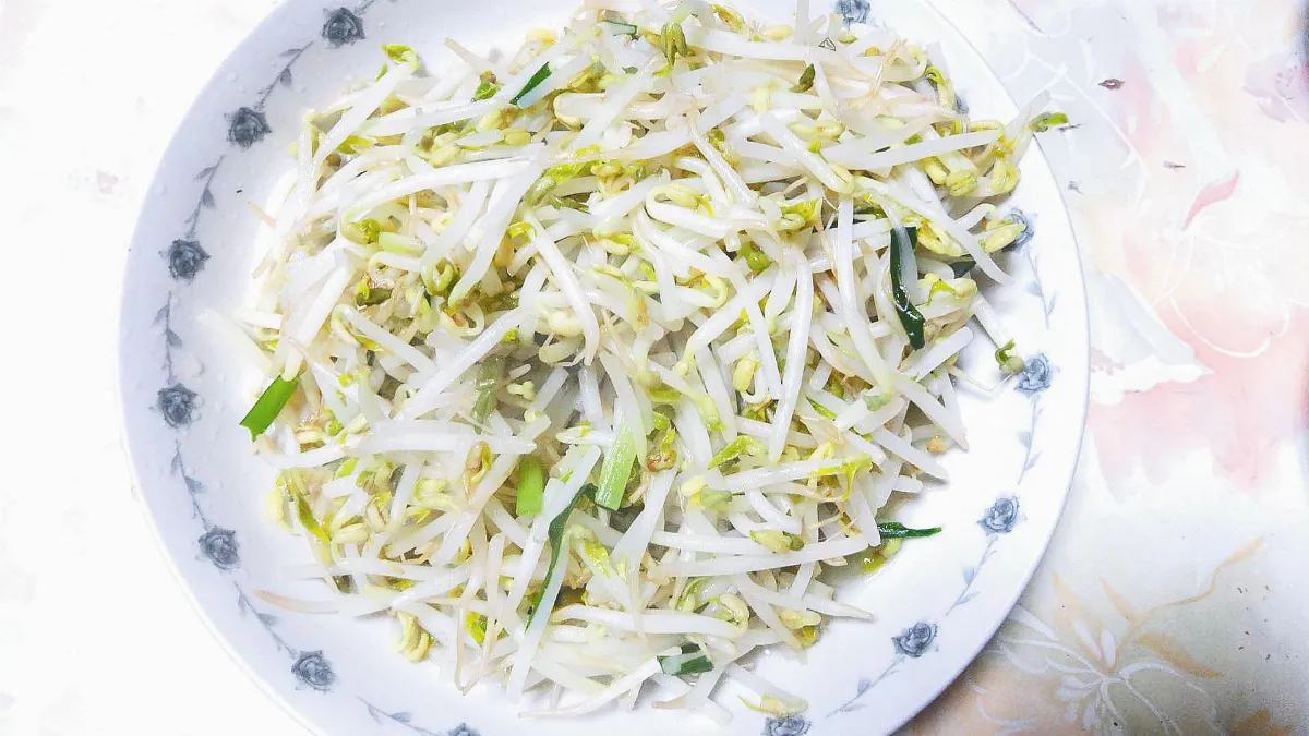 記憶的味道 豆芽菜