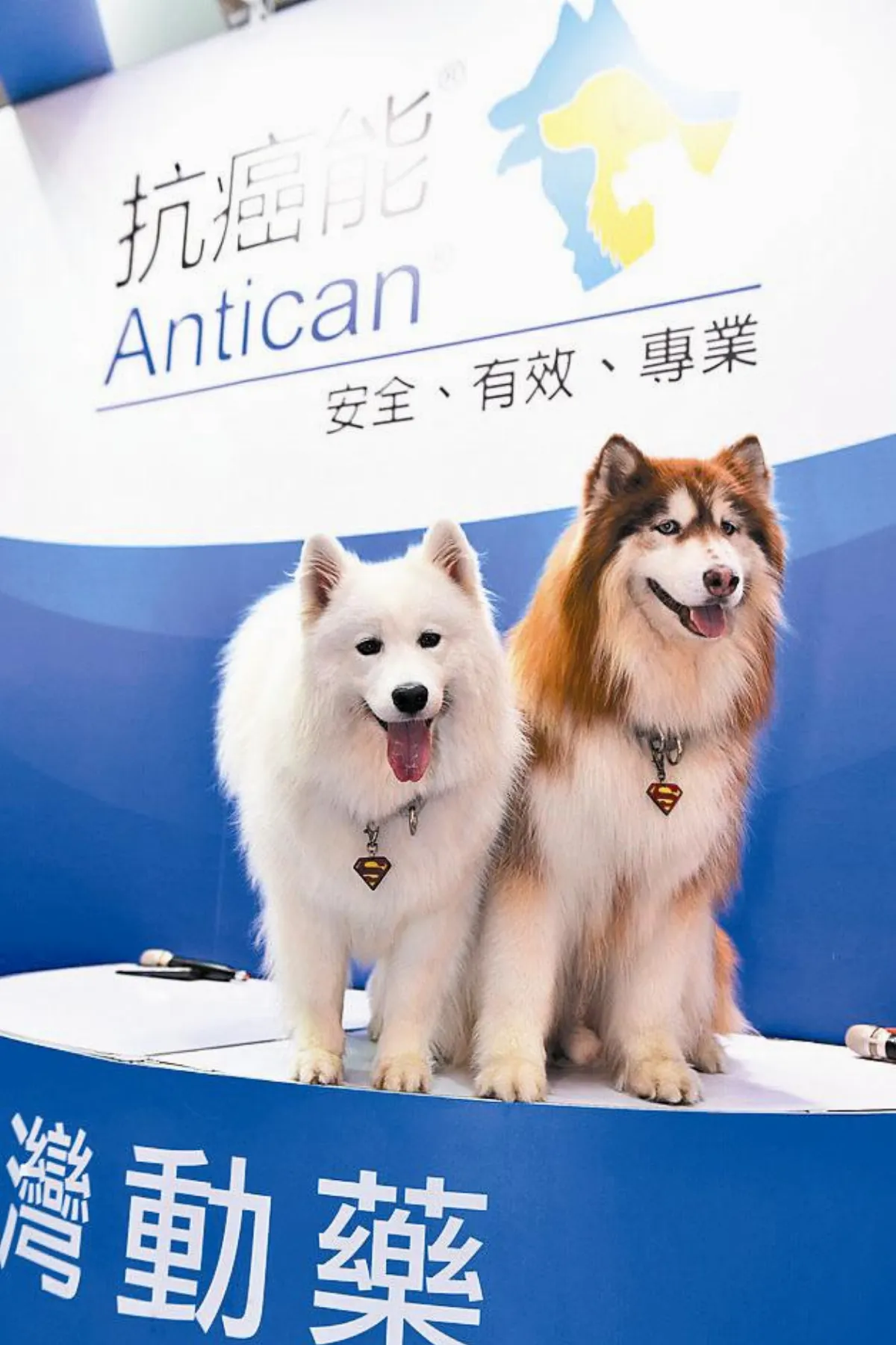 狗圍肛腺瘤 捏屁屁檢測
