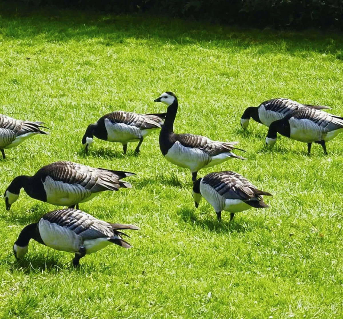 生活快門 向站崗放哨的你致敬
