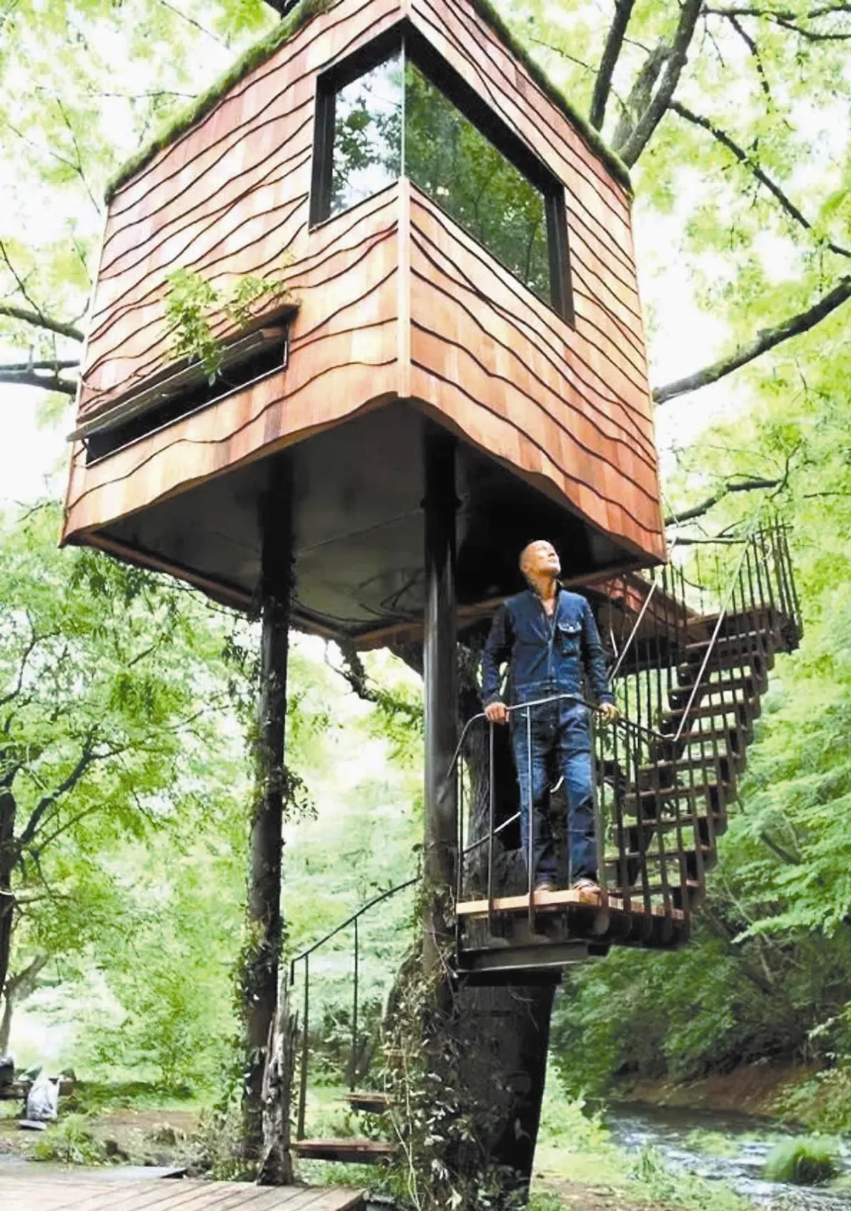 日建築師 建百座樹屋