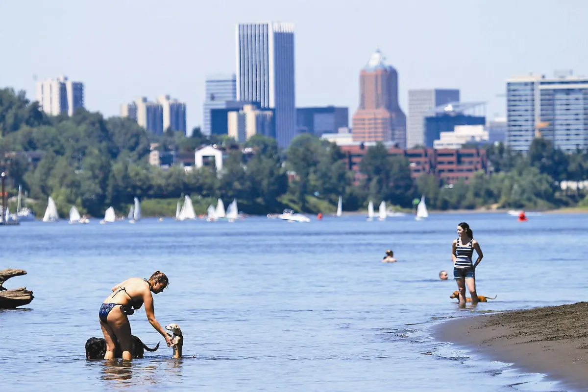 426億整形 汙水河變天然泳道