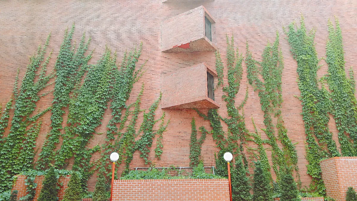 都會綠意 創藝 無限