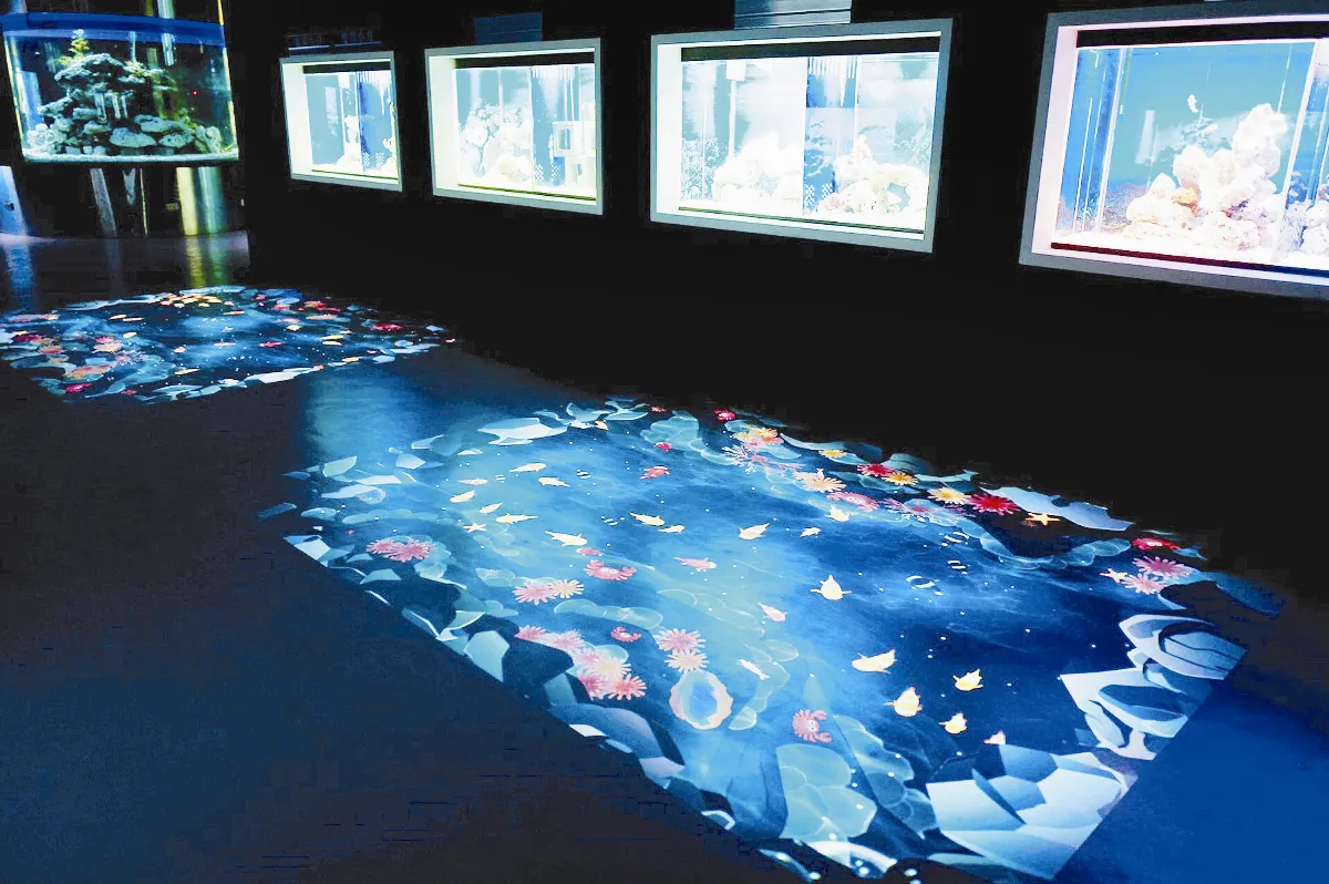 海洋夢想館 悠游深海中