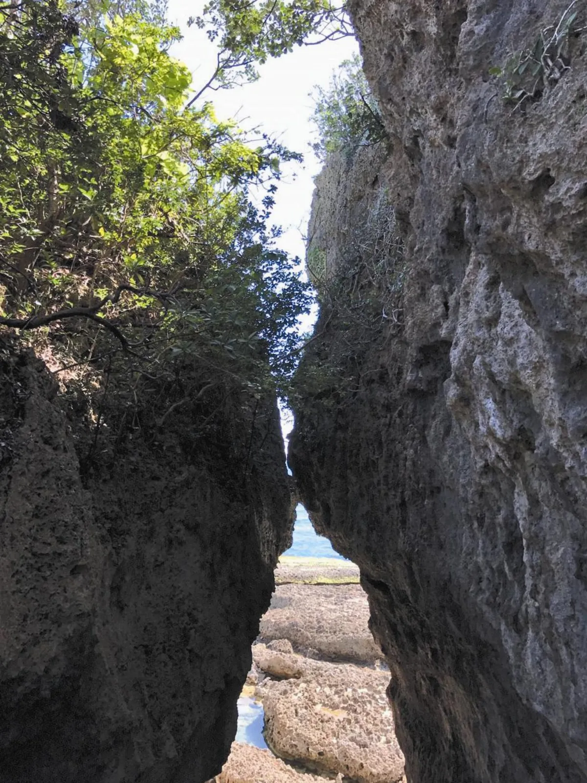 墾丁好好玩 美麗的鵝鑾鼻