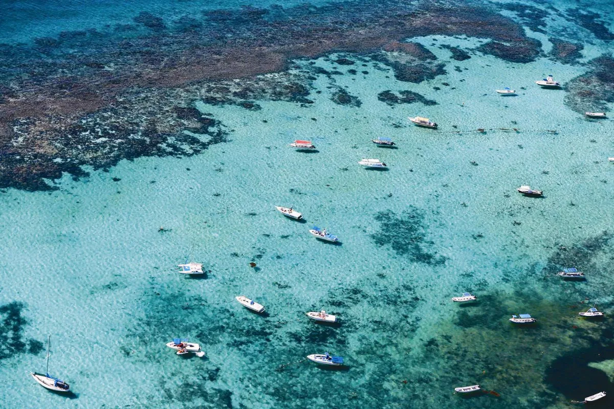 寰宇新聞 一周回顧