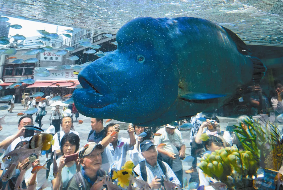 剛過7月 地球負債度日