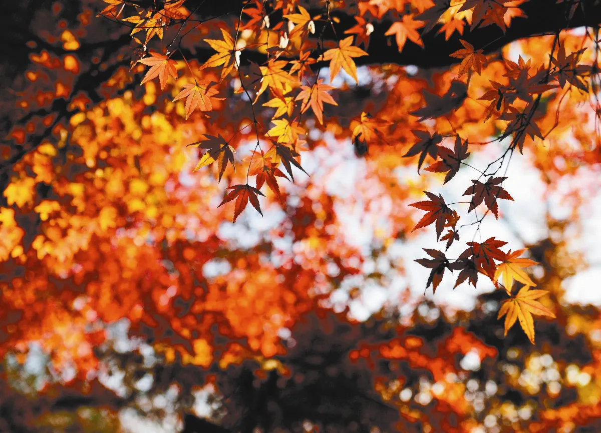 《人間萬事》 賺什麼？