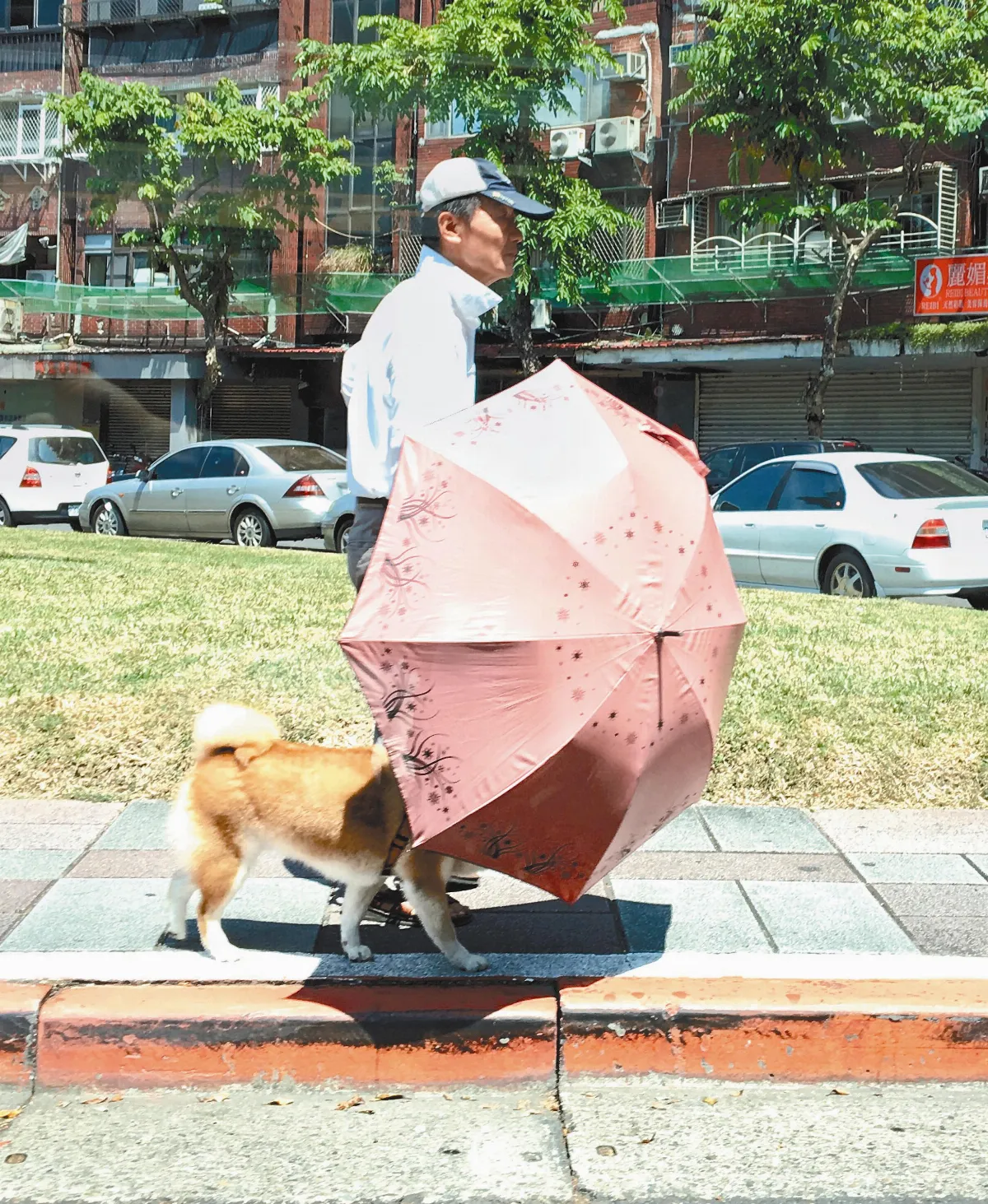 連10天破36℃ 台北高溫創紀錄