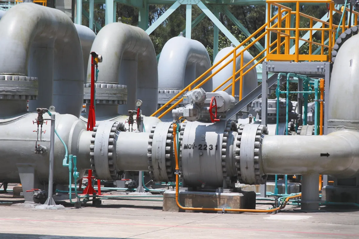 未按SOP作業 全台大停電禍首