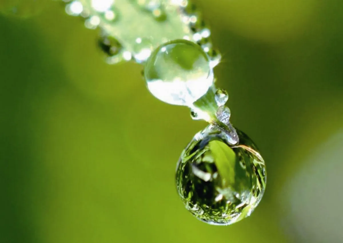 一頭霧水