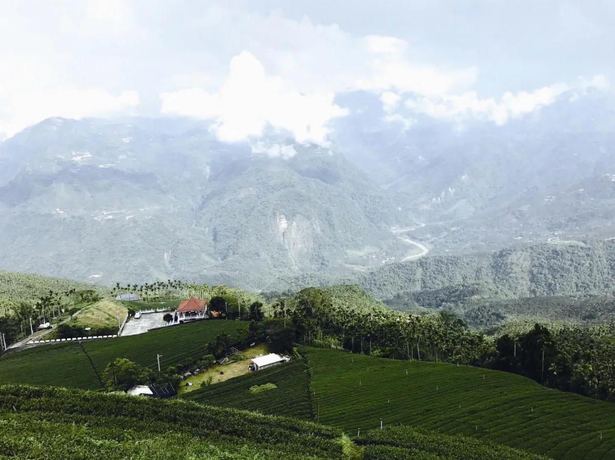 旅遊大小事  阿里山漫騎雲端