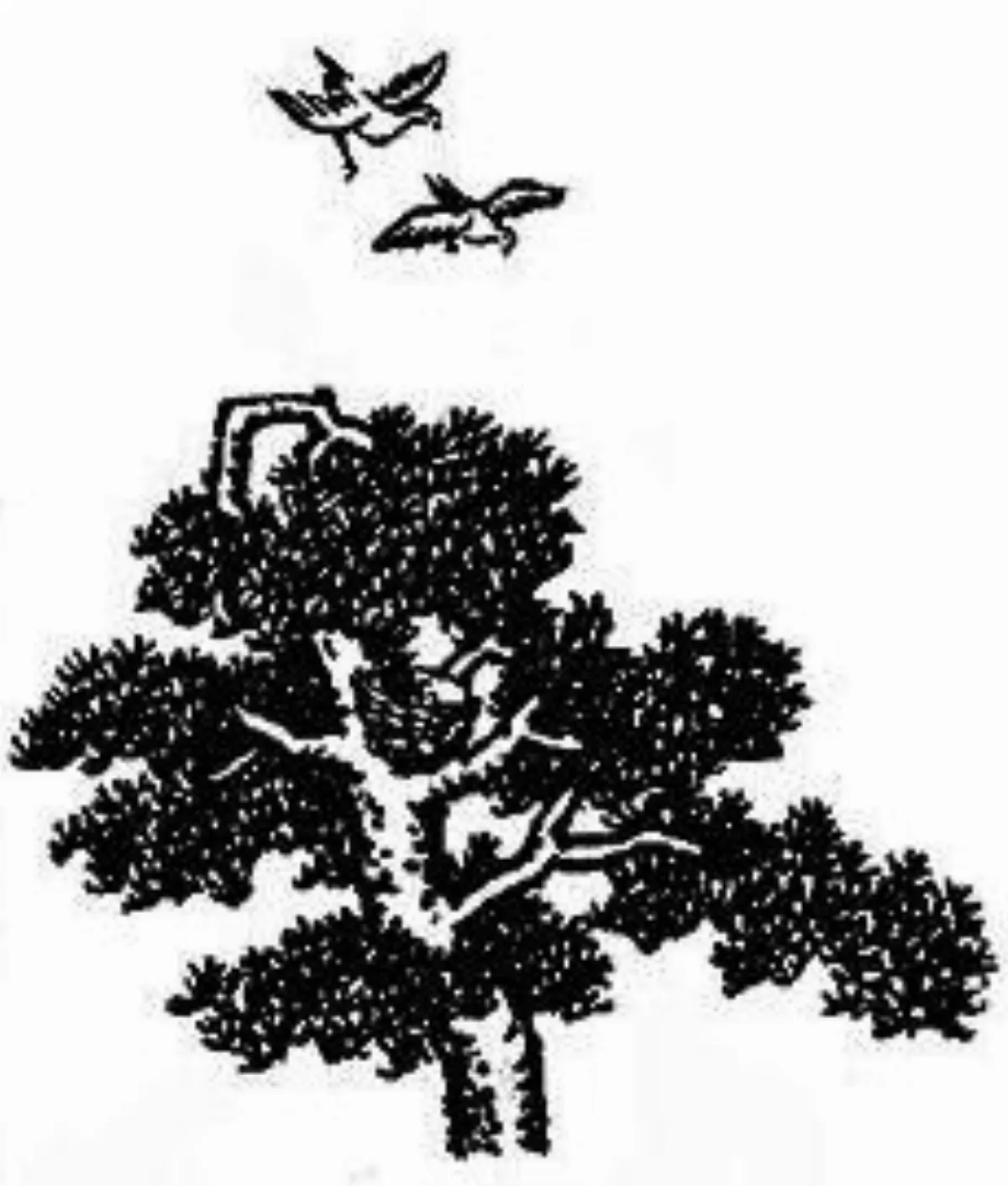 【豐子愷．護生畫集】雙宿雙飛