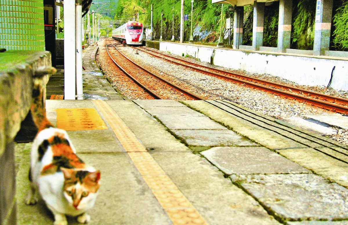海闊天空 不再孤獨的三貂嶺車站
