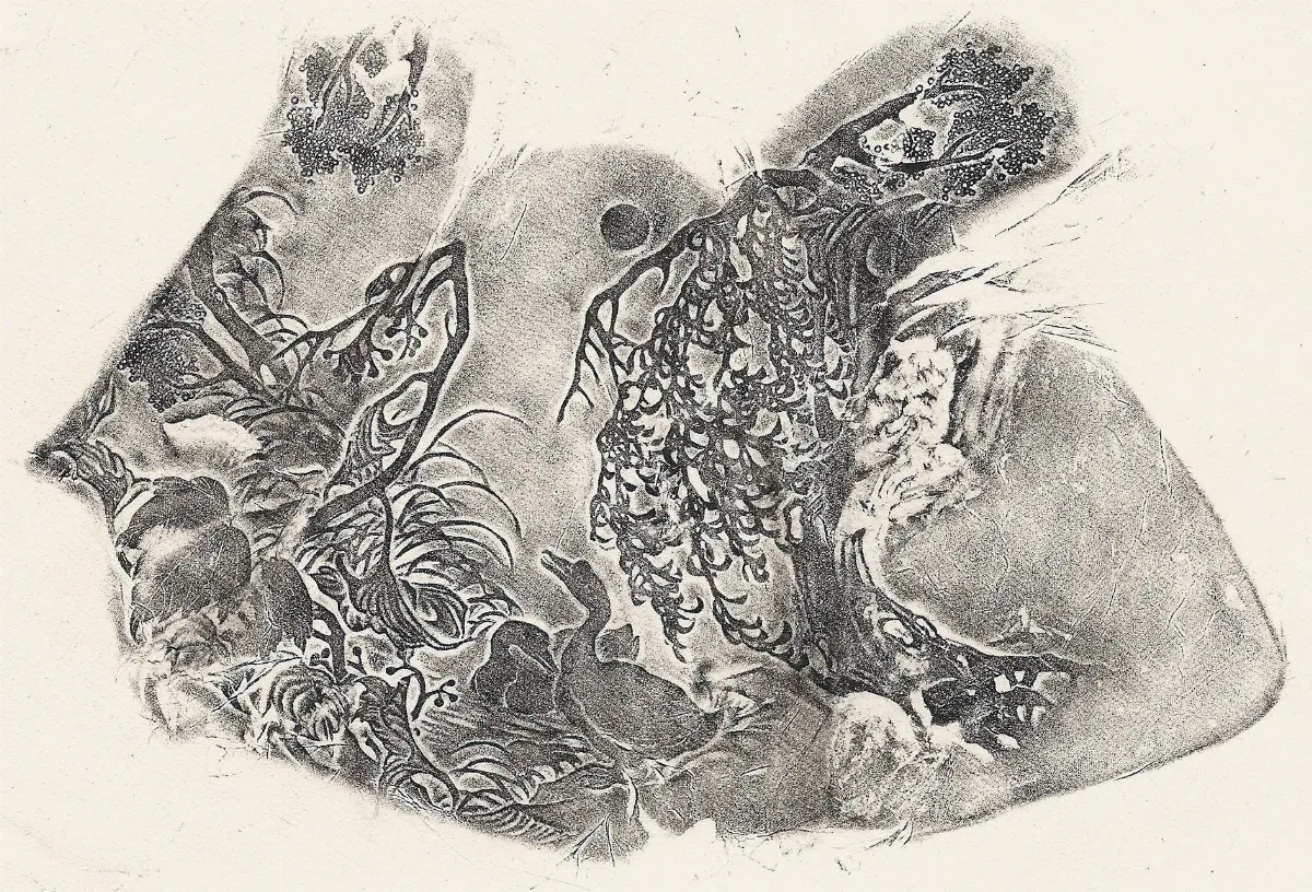 【清卿薄意】 鵝戲水薄意隨形章