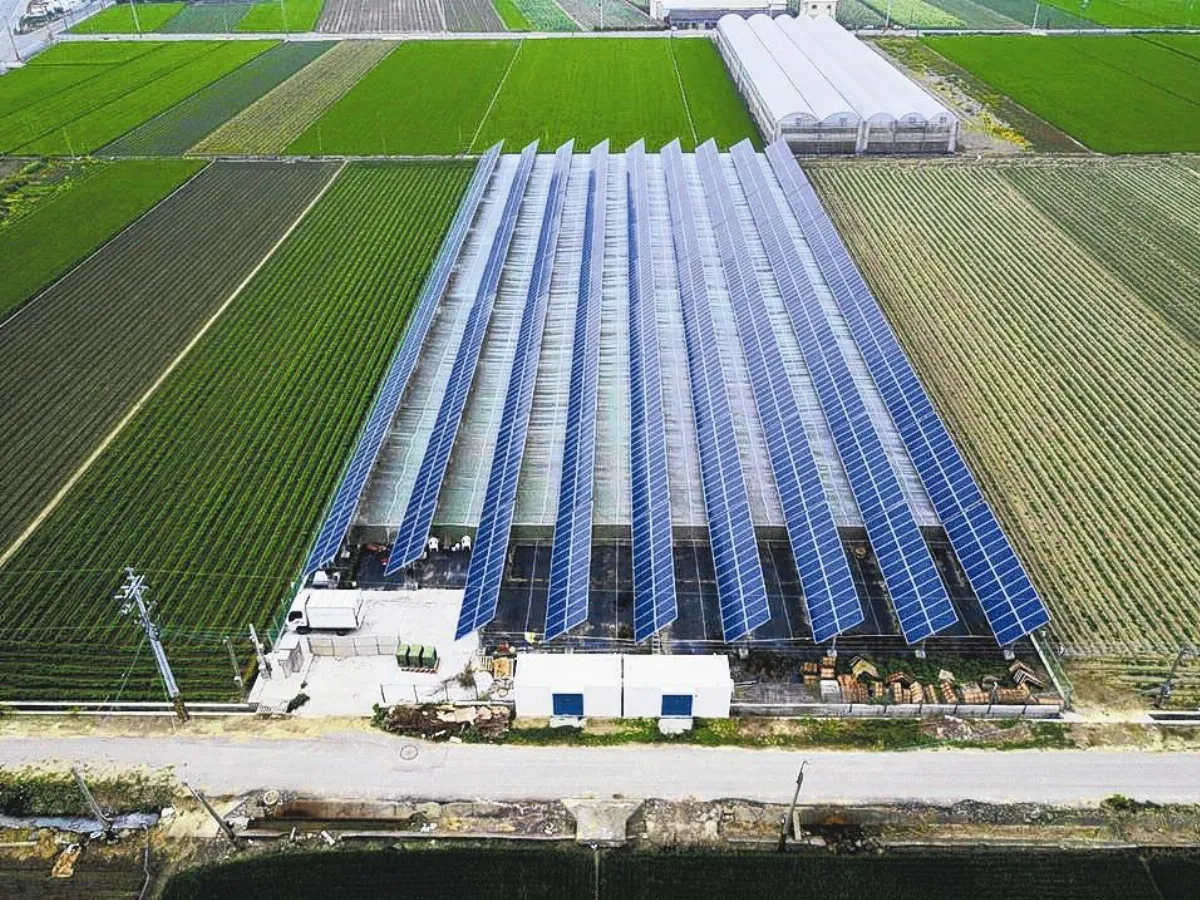 農地種電亂象 監察院糾正農委會、經濟部